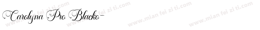 Carolyna Pro Blacko字体转换